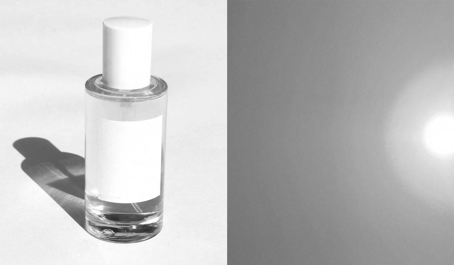 Découverte : Au cœur du monde de la beauté neutre en carbone