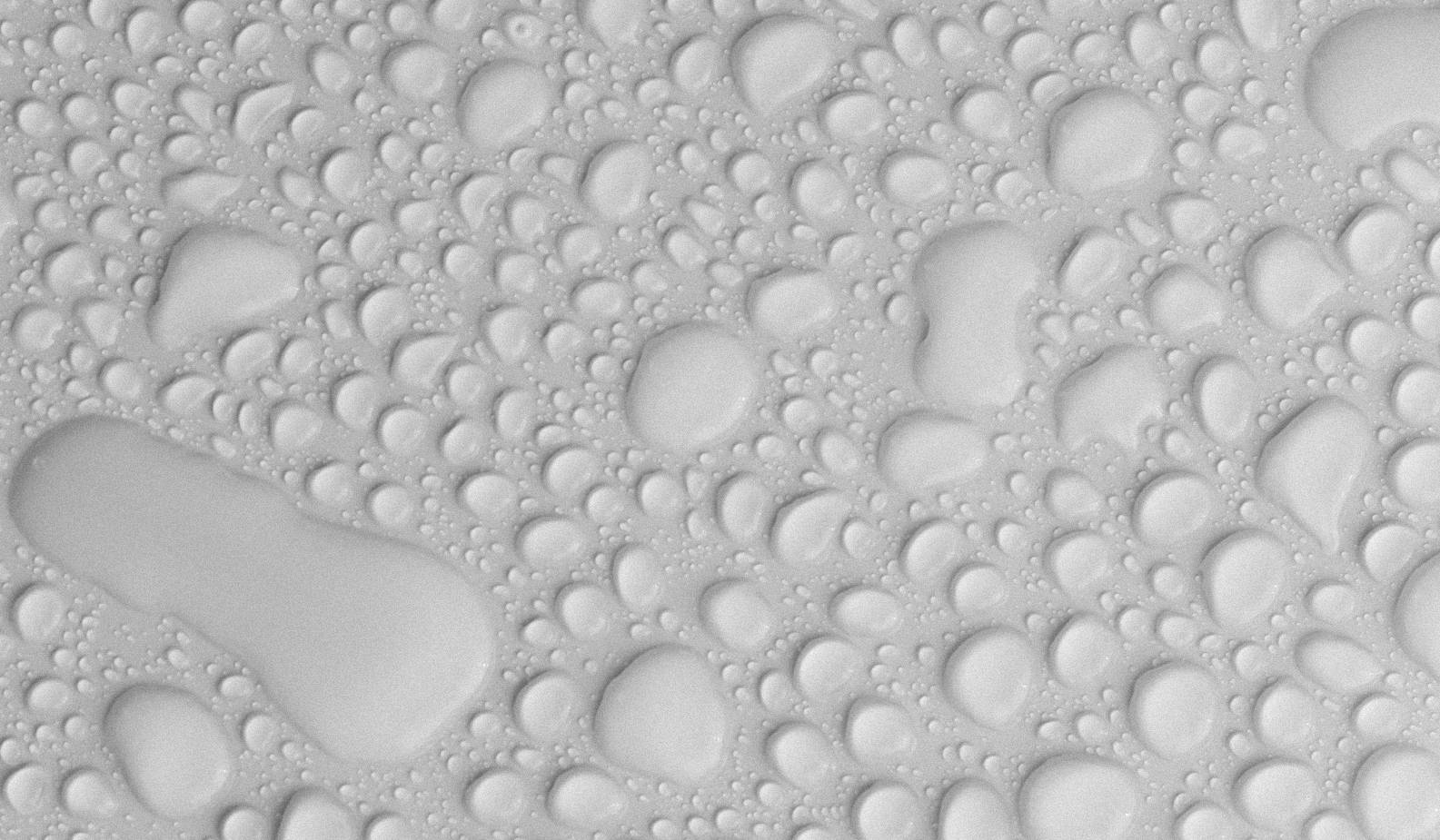 « Forever Chemicals » et cosmétiques : ce qu'il faut savoir sur les PFAS