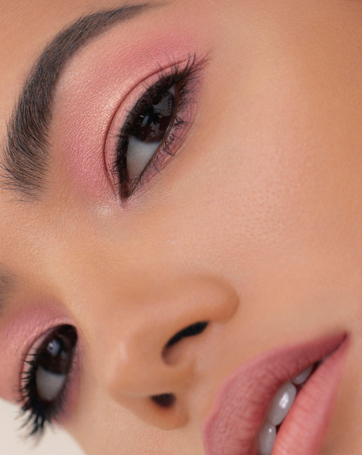 Cenit_-_Pink__0006_Layer_22.jpg