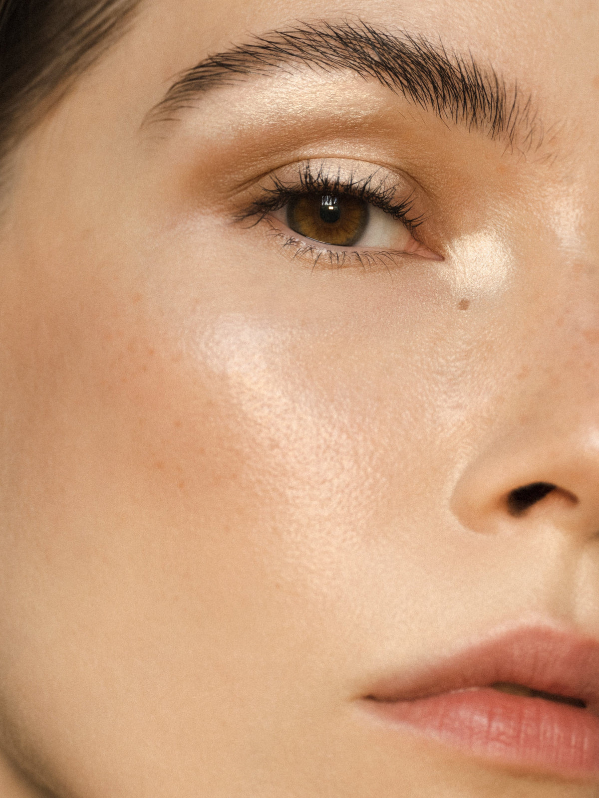 LH_Editorial_Eye_Highlight_01.jpg
